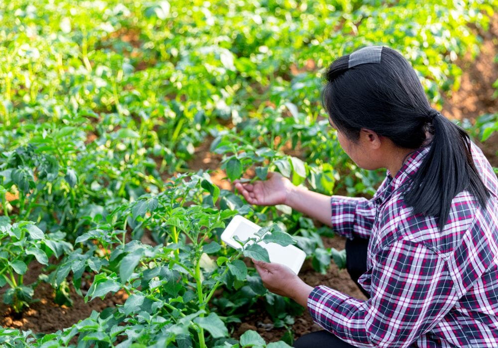 agricoltura intelligente